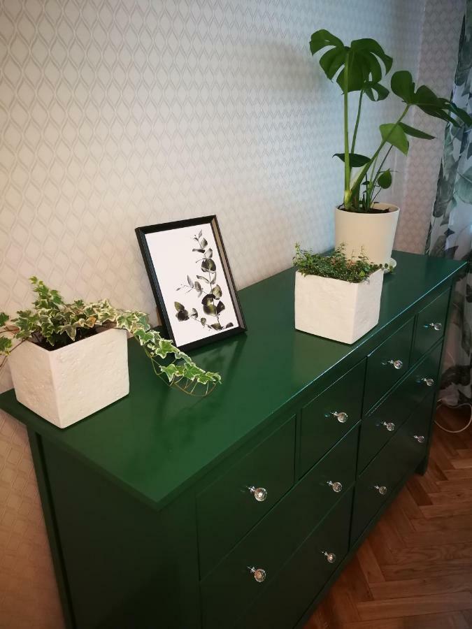Lemon Tree Apartment 브로츠와프 외부 사진